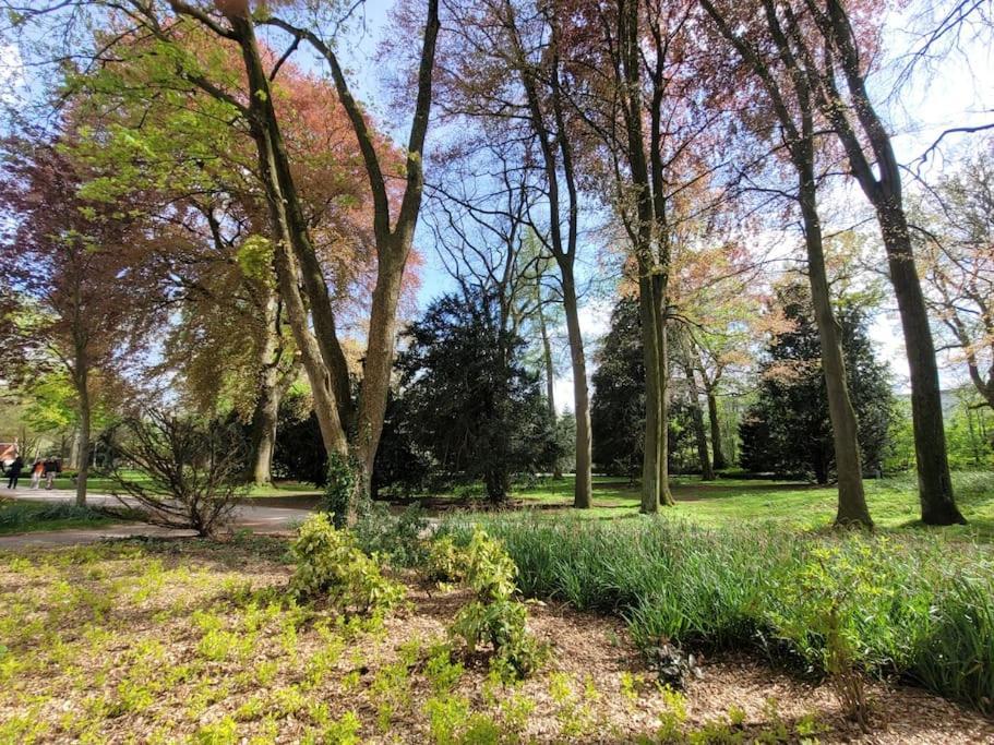 Mit Blick In Den Emsseepark Warendorf Exteriér fotografie